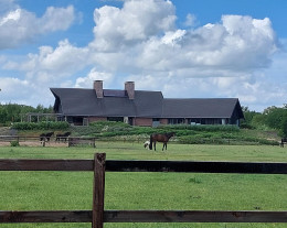 Bijzonder landhuis met stallen op landgoed