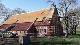 Renovatie oude boerderij met rietendak